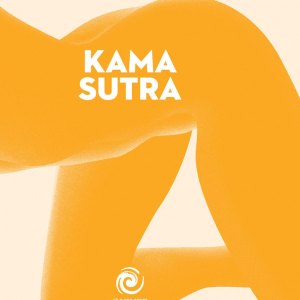 kamasutraminibook